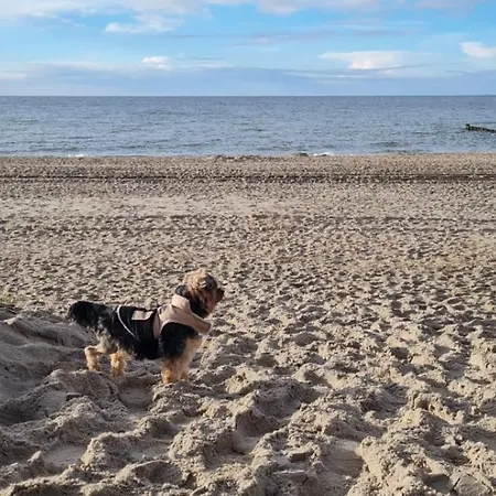 Residenz Lausitz - Fuer Urlaub Mit Hund *