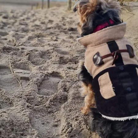 Residenz Lausitz - Fuer Urlaub Mit Hund