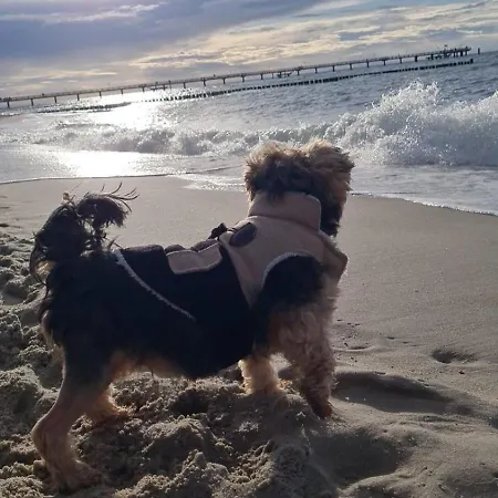 Residenz Lausitz - Fuer Urlaub Mit Hund アパート