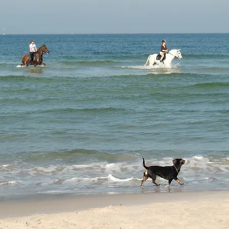 Residenz Lausitz - Fuer Urlaub Mit Hund グラール・ミューリッツ