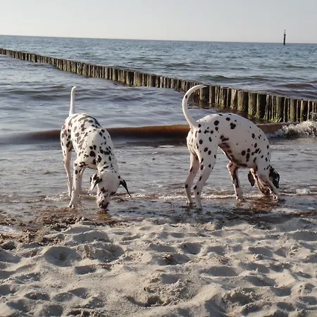 Residenz Lausitz - Fuer Urlaub Mit Hund *