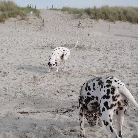 Residenz Lausitz - Fuer Urlaub Mit Hund アパート *