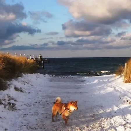 Апартаменты Residenz Lausitz - Fuer Urlaub Mit Hund