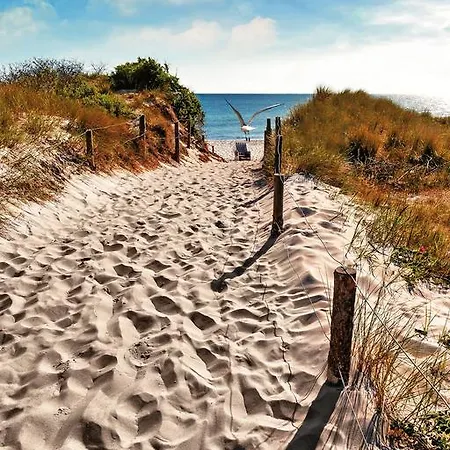 Residenz Lausitz - Fuer Urlaub Mit Hund グラール・ミューリッツ