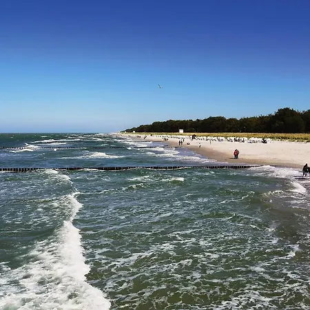 Residenz Lausitz - Fuer Urlaub Mit Hund