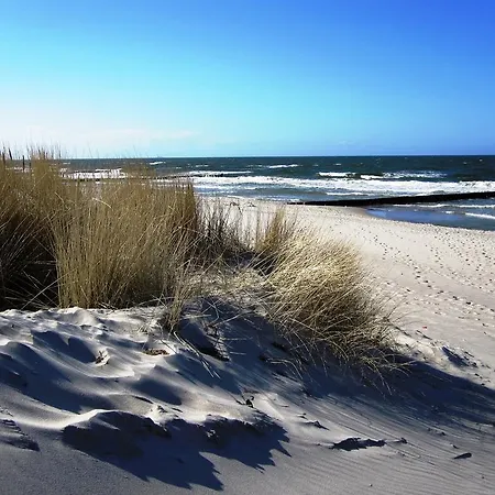 アパート Residenz Lausitz - Fuer Urlaub Mit Hund グラール・ミューリッツ