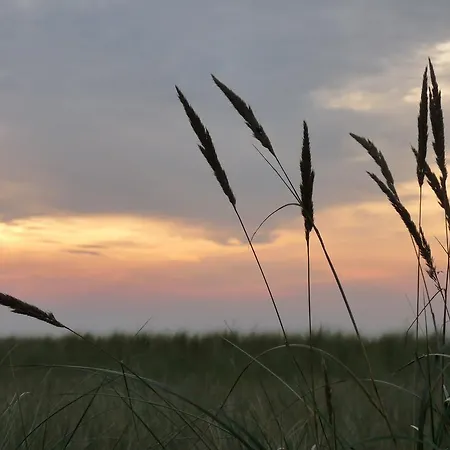 Residenz Lausitz - Fuer Urlaub Mit Hund * グラール・ミューリッツ