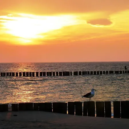 アパート Residenz Lausitz - Fuer Urlaub Mit Hund *