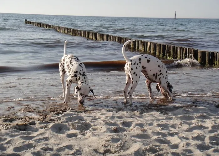 Residenz Lausitz - Fuer Urlaub Mit Hund *