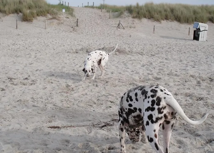 Residenz Lausitz - Fuer Urlaub Mit Hund 公寓 *
