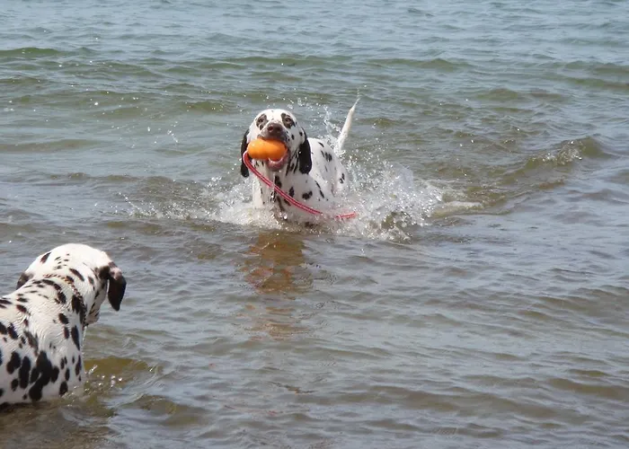 公寓 Residenz Lausitz - Fuer Urlaub Mit Hund 格拉尔-米里茨