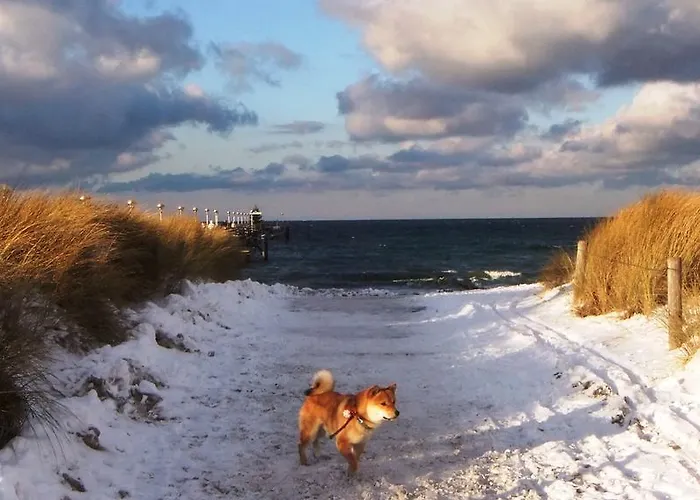 公寓 Residenz Lausitz - Fuer Urlaub Mit Hund