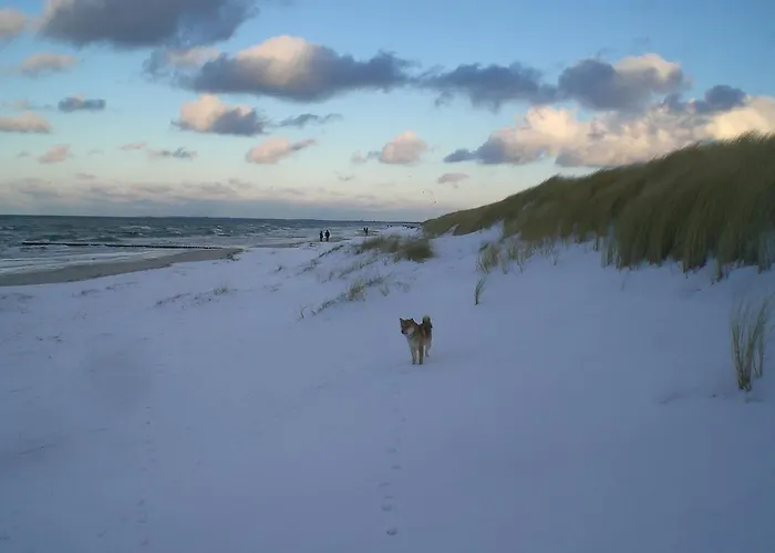 Residenz Lausitz - Fuer Urlaub Mit Hund 公寓